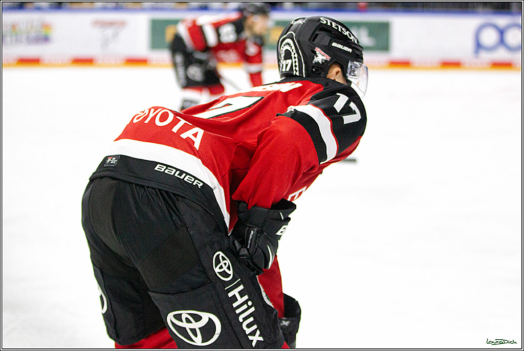PENNY DEL;  Koelner Haie - Straubing Tigers; Koeln, 15.10.2021